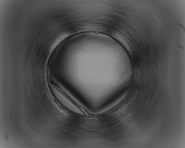 X0000093231043200710171414