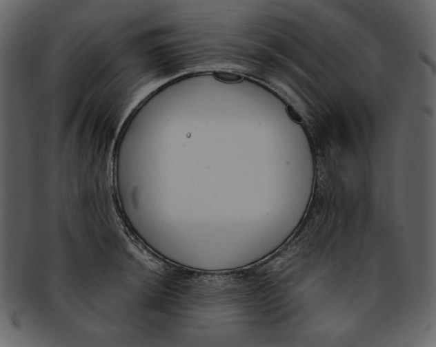 X0000093231044200710171414