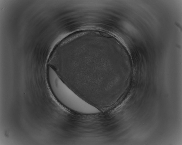 X0000093231045200710171414