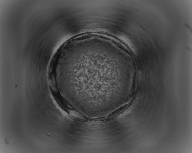 X0000093231046200710171414