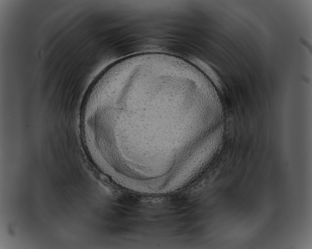 X0000093231051200710171414