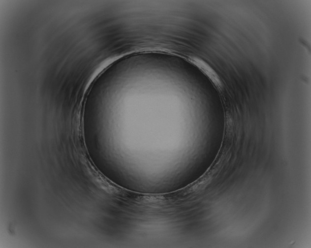 X0000093231052200710171414