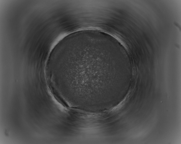 X0000093231054200710171414