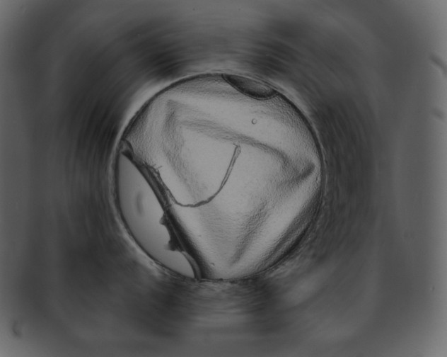 X0000093231056200710171414