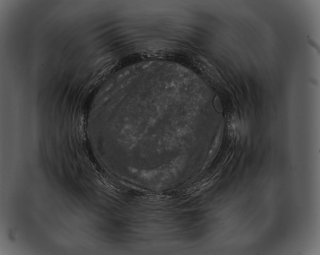 X0000093231060200710171414