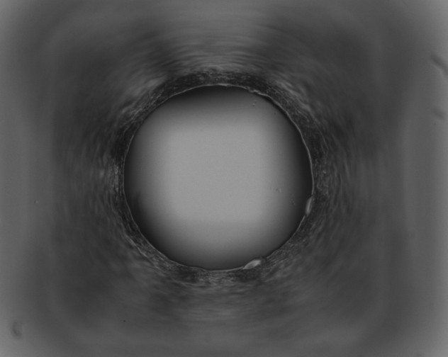 X0000093231061200710171414