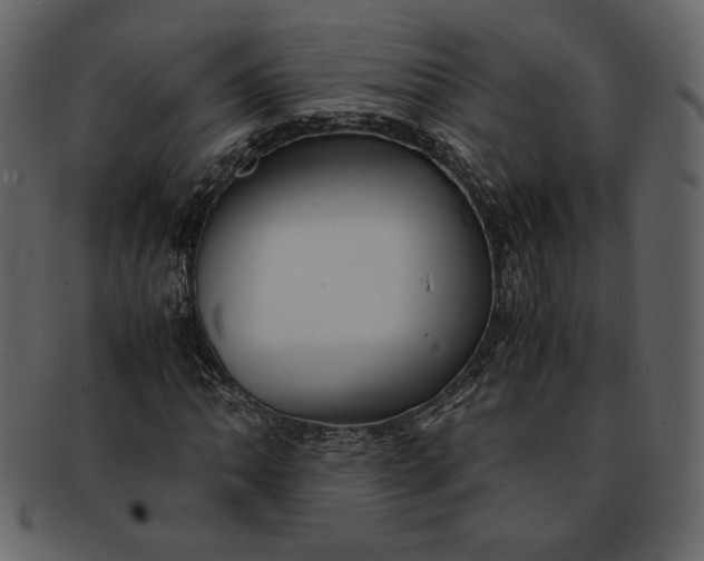 X0000093231062200710171414