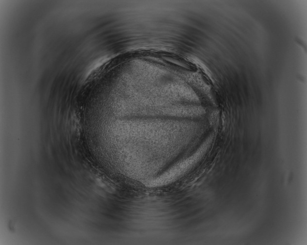 X0000093231064200710171413