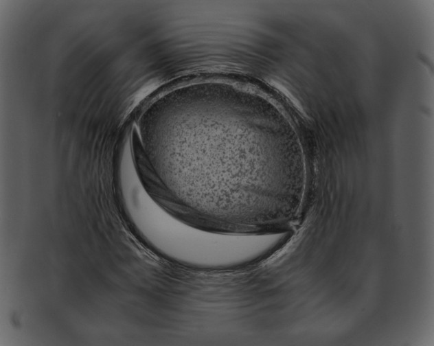 X0000093231065200710171413