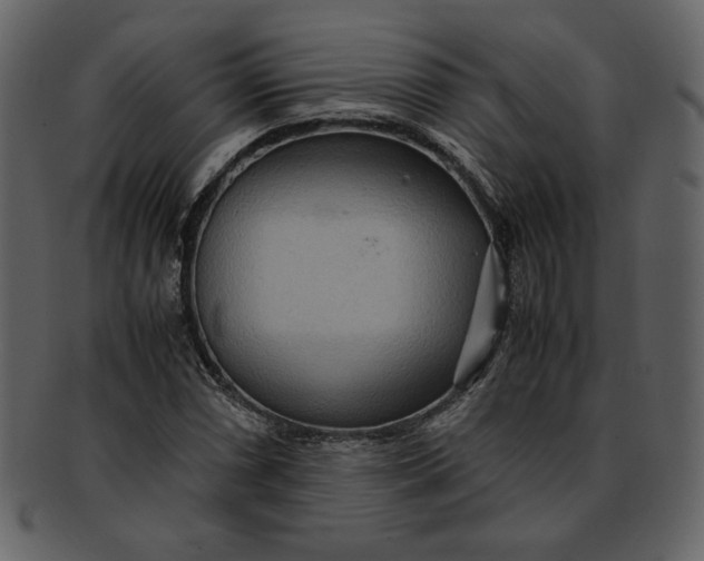 X0000093231066200710171413