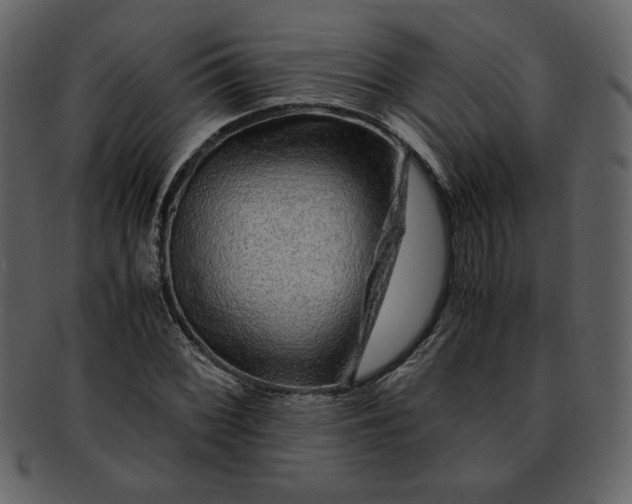 X0000093231068200710171413