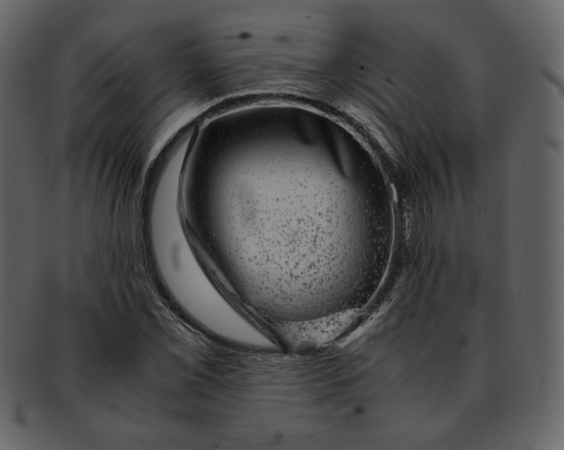 X0000093231069200710171413