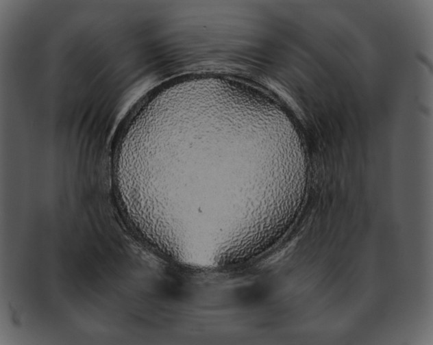 X0000093231075200710171413