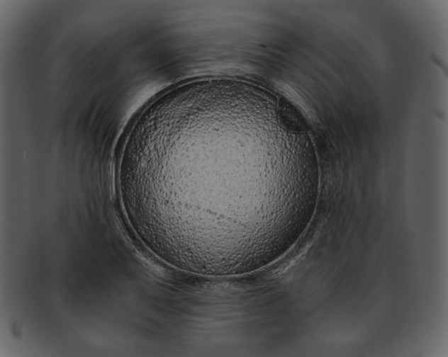 X0000093231079200710171413