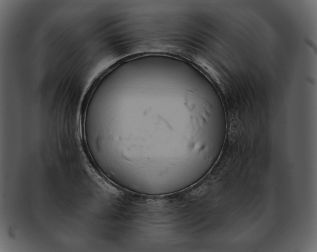 X0000093231080200710171413