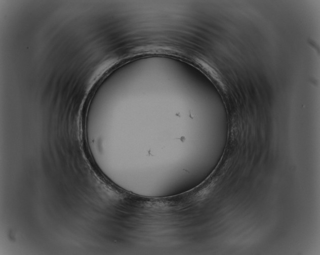 X0000093231082200710171413