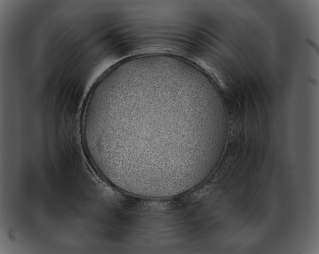 X0000093231086200710171413