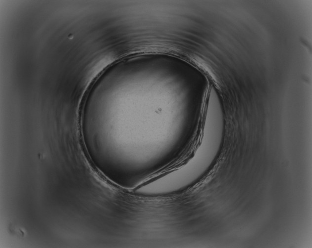 X0000093231087200710171413