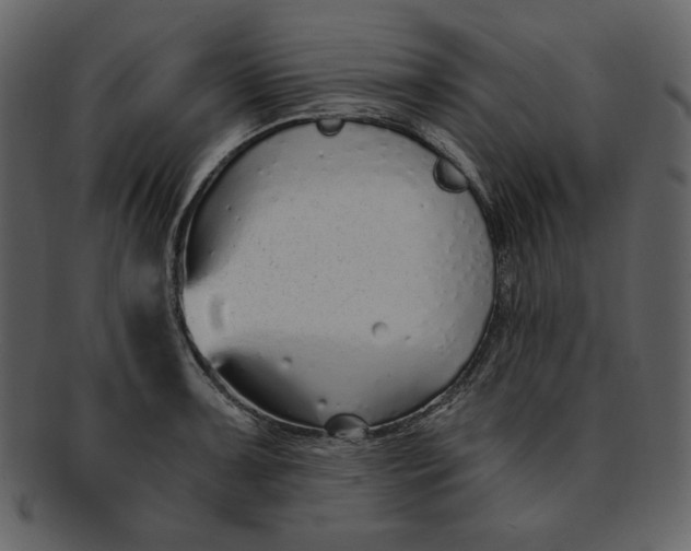 X0000093231091200710171413