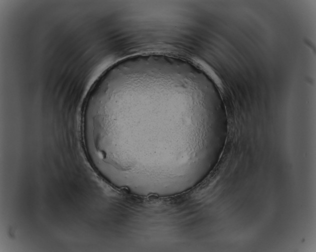 X0000093231099200710171413