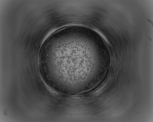 X0000093231101200710171413