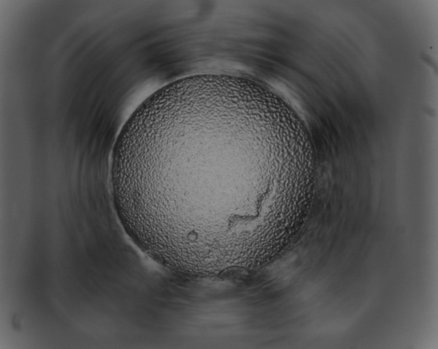 X0000093231103200710171413