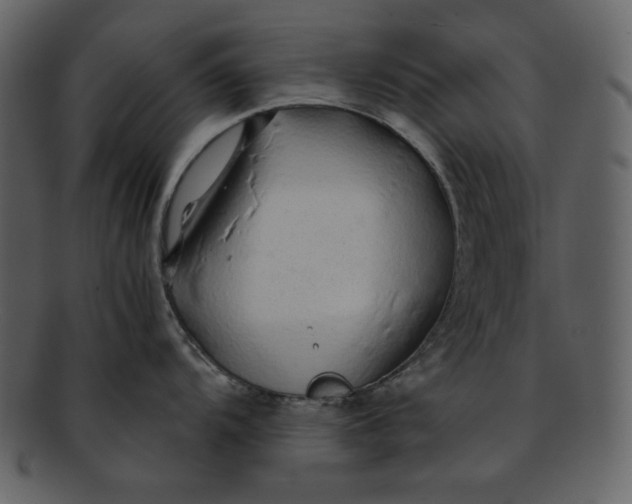 X0000093231104200710171413