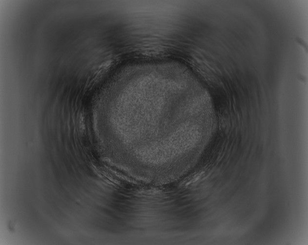 X0000093231106200710171412