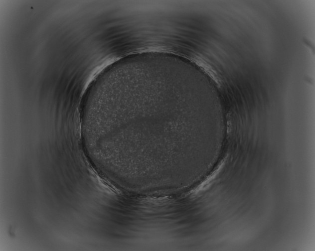 X0000093231117200710171412