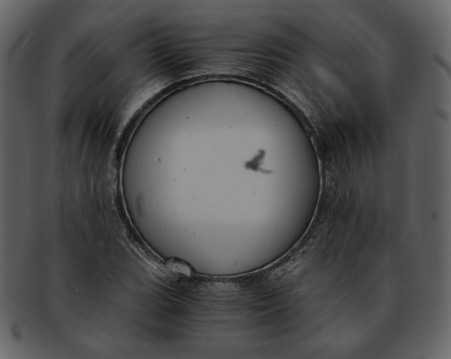 X0000093231119200710171412