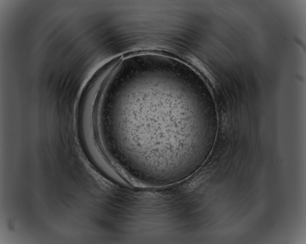 X0000093231124200710171413