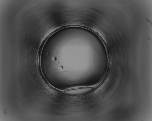 X0000093231125200710171413