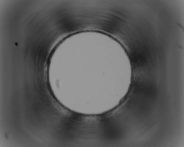 X0000093231126200710171413