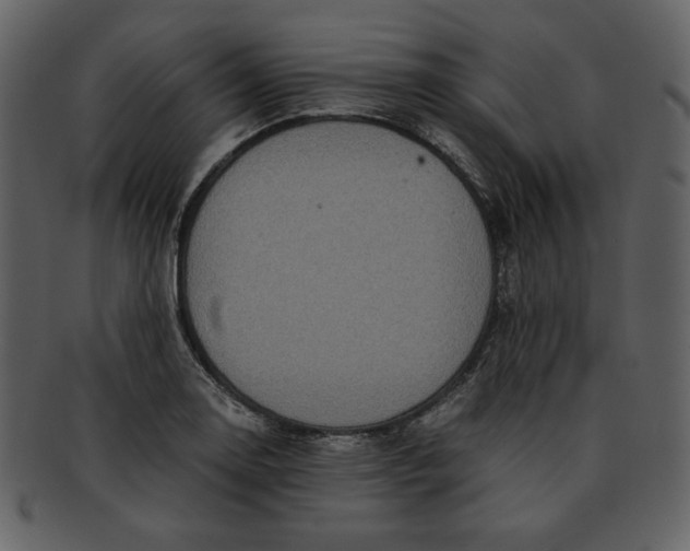 X0000093231130200710171413