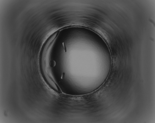 X0000093231133200710171413