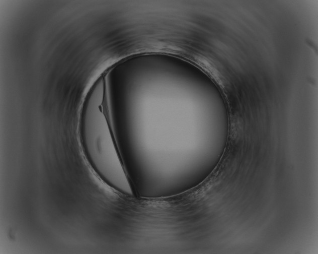 X0000093231136200710171413