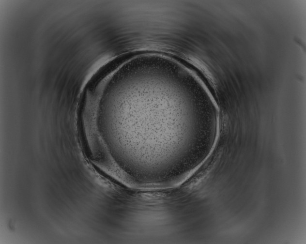 X0000093231138200710171413