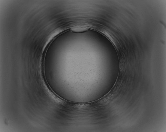 X0000093231139200710171413