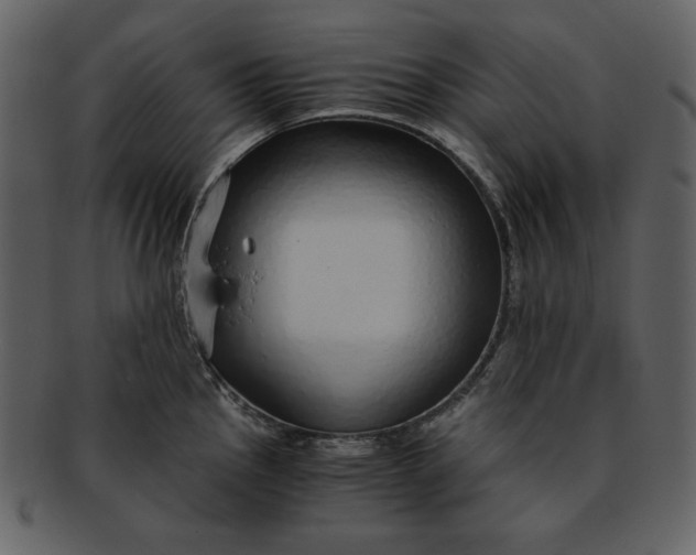 X0000093231145200710171413