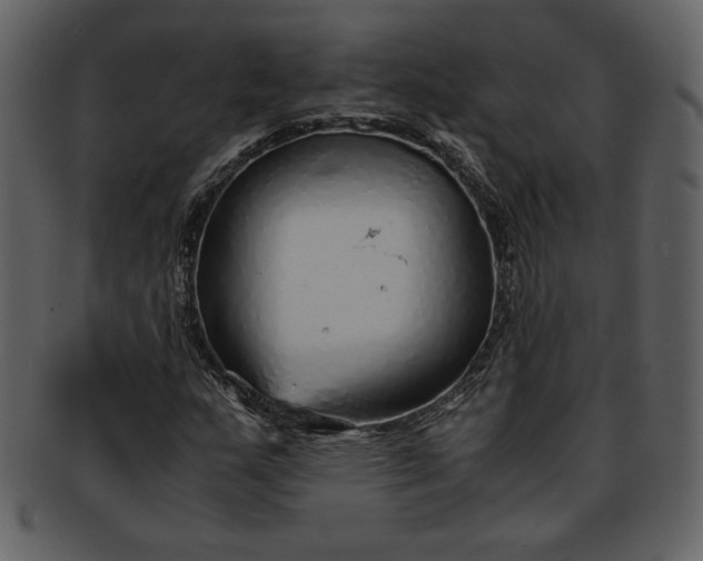 X0000093231159200710171412