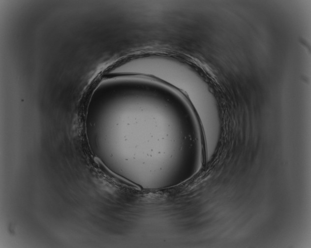 X0000093231160200710171412