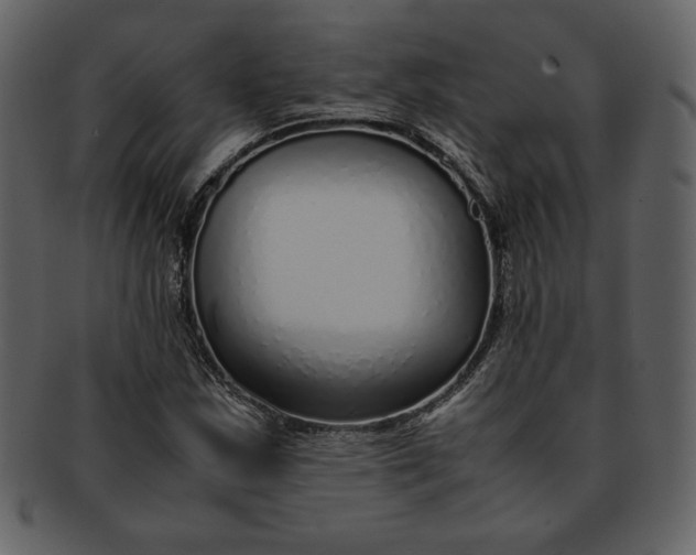 X0000093231163200710171412