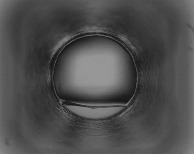 X0000093231167200710171412