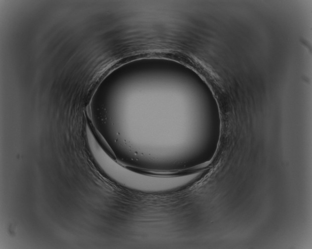 X0000093231169200710171412