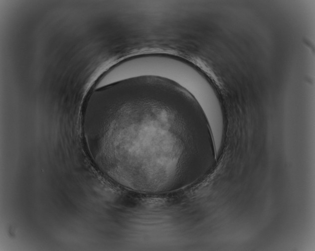 X0000093231173200710171412