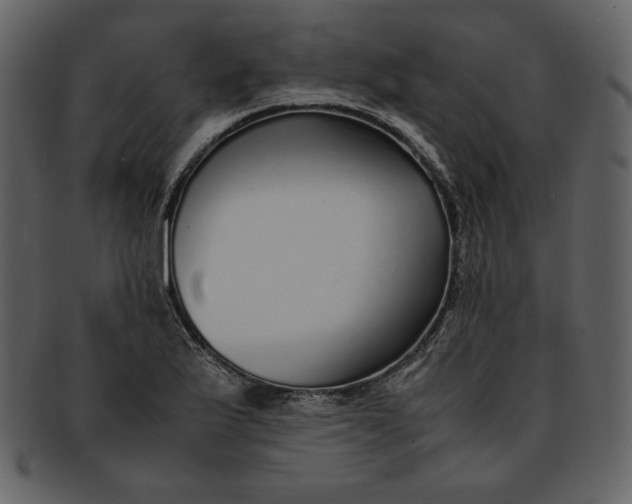 X0000093231175200710171412