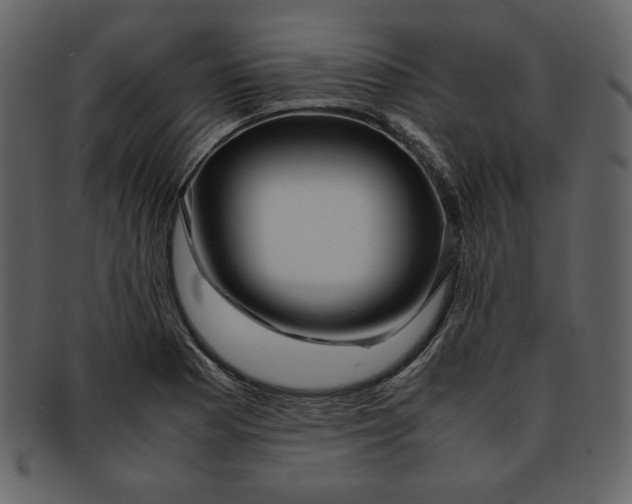 X0000093231177200710171412