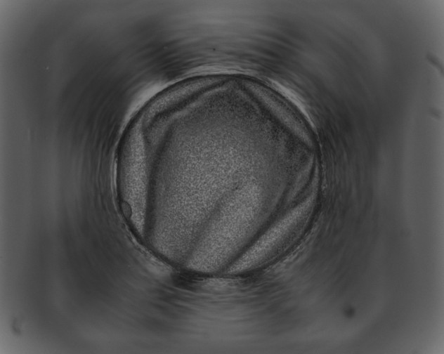 X0000093231179200710171412