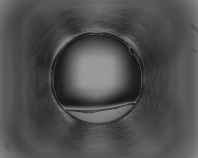 X0000093231183200710171412