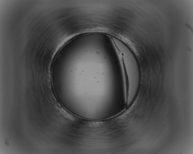 X0000093231184200710171412